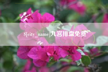 贵州九宫排盘免费