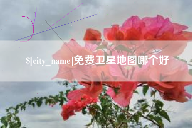 贵州免费卫星地图哪个好