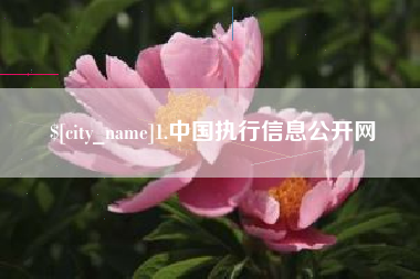 贵州1.中国执行信息公开网