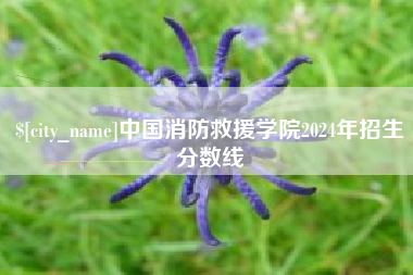 贵州中国消防救援学院2024年招生分数线