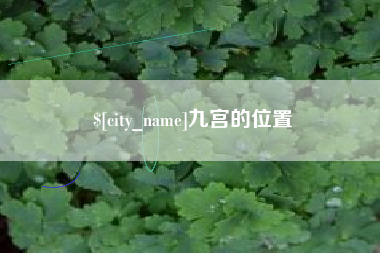 贵州九宫的位置