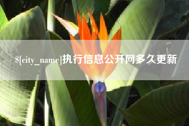 贵州执行信息公开网多久更新