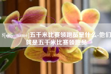 贵州五千米比赛领跑员是什么-他们就是五千米比赛领跑员