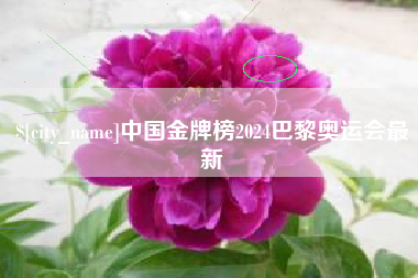贵州中国金牌榜2024巴黎奥运会最新