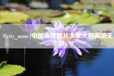 贵州中国金牌图片大全大图高清无水印