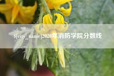贵州2020年消防学院分数线