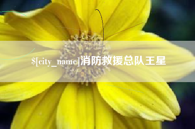贵州消防救援总队王星