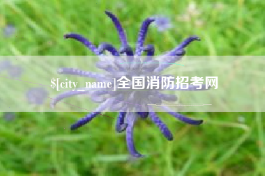 贵州全国消防招考网