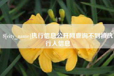 贵州执行信息公开网查询不到被执行人信息