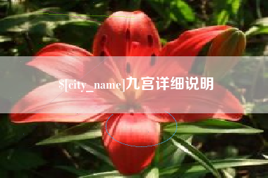 贵州九宫详细说明