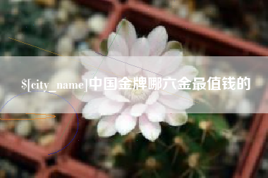 贵州中国金牌哪六金最值钱的