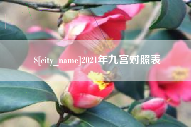 贵州2021年九宫对照表