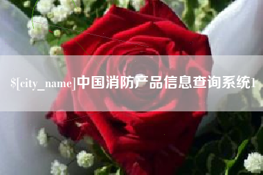 贵州中国消防产品信息查询系统1