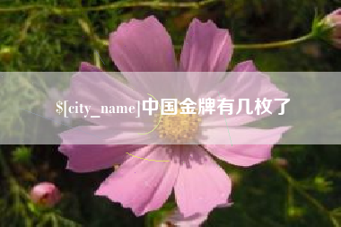 贵州中国金牌有几枚了