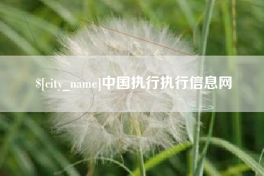贵州中国执行执行信息网