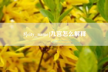 贵州九宫怎么解释