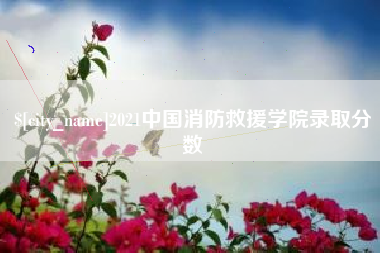 贵州2021中国消防救援学院录取分数