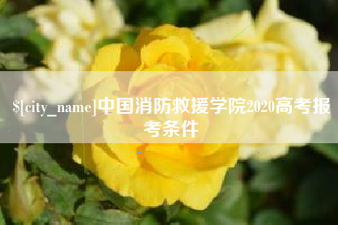 贵州中国消防救援学院2020高考报考条件