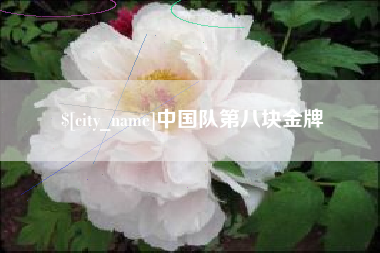 贵州中国队第八块金牌