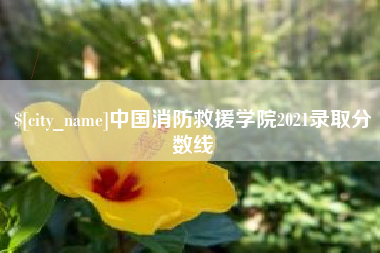 贵州中国消防救援学院2021录取分数线