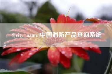贵州中国消防产品查询系统