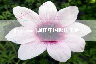 贵州现在中国哪几个金牌