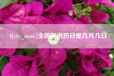 贵州全国的消防日是几月几日