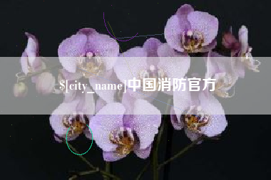 贵州中国消防官方