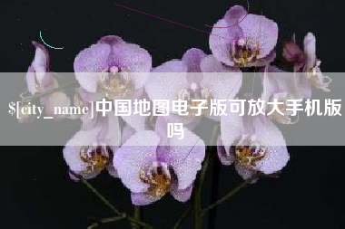 贵州中国地图电子版可放大手机版吗