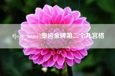 贵州奥运金牌第二个九宫格