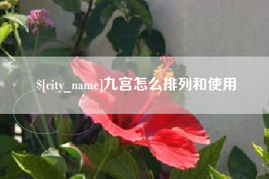 贵州九宫怎么排列和使用