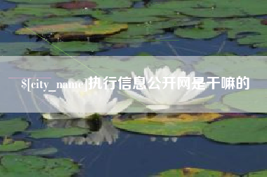 贵州执行信息公开网是干嘛的