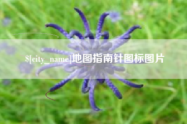 贵州地图指南针图标图片