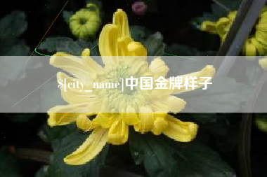 贵州中国金牌样子