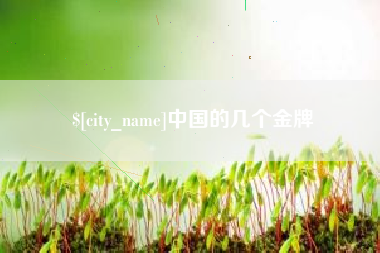 贵州中国的几个金牌