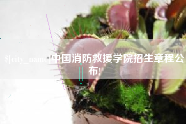 贵州中国消防救援学院招生章程公布!