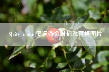 贵州奥运夺金时刻九宫格图片