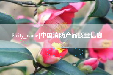 贵州中国消防产品质量信息