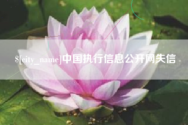 贵州中国执行信息公开网失信