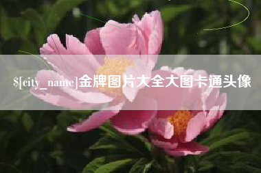 贵州金牌图片大全大图卡通头像