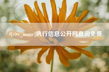 贵州执行信息公开网查询免费