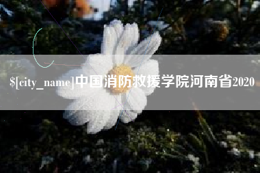 贵州中国消防救援学院河南省2020
