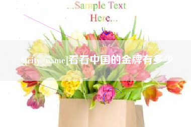 贵州看看中国的金牌有多少